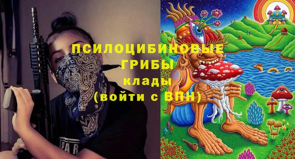 меф Алексин