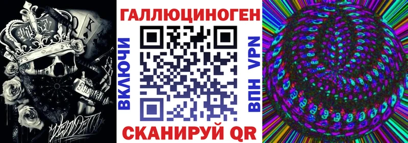 закладки  Коряжма  Псилоцибиновые грибы MAGIC MUSHROOMS 