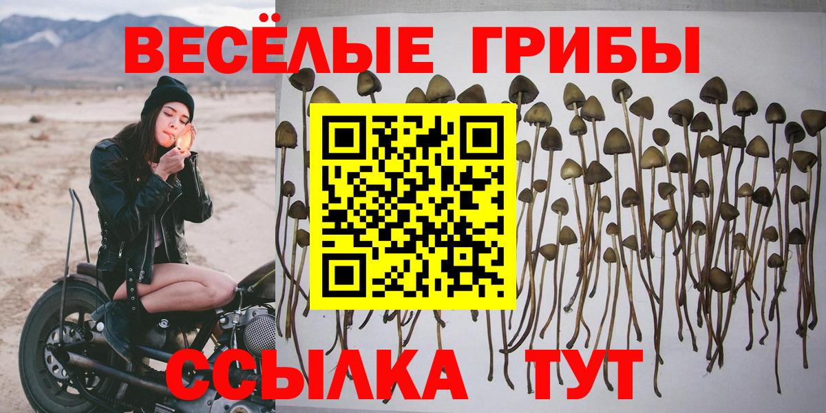 Галлюциногенные грибы мицелий  даркнет сайт  Вход с VPN  Коряжма  Галлюциногенные грибы прущие грибы 