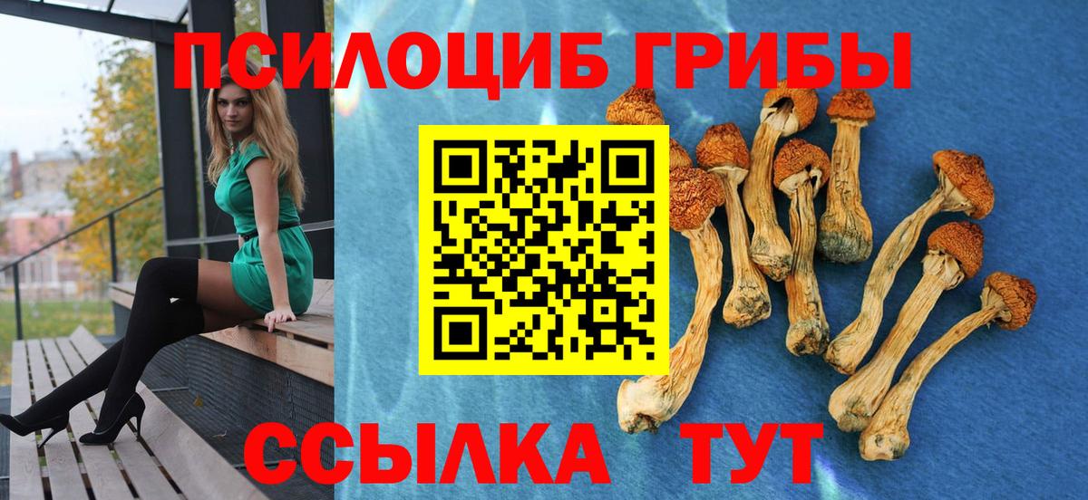 Псилоцибиновые грибы прущие грибы Коряжма