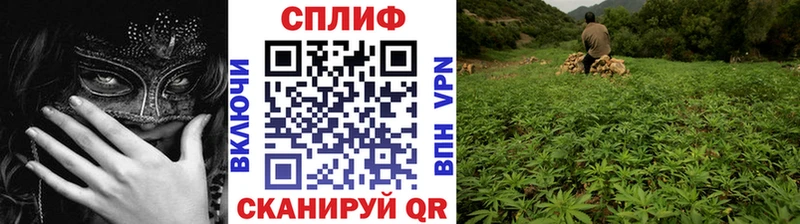 Марихуана гибрид  Коряжма 